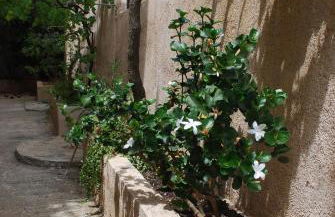 Sunset Rooms - Foto 79