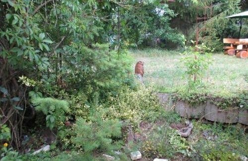 Lahnhaus Brühl/ Fende Haus - Foto 12