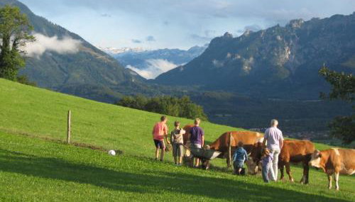 Kochhof - Foto 3