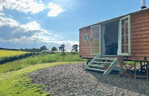 Cosy Devon Hut Woodland Views - Photo 77