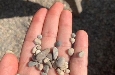 La Finca OliveTree - Foto 16