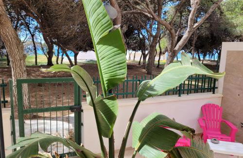 FRONTE PINETA MARE RIVABELLA - Foto 1