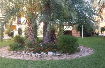 Apartamento en Cascadas de la Marina - Foto 26