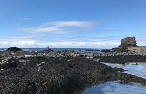 Little Dusty - Between St Agnes & Perranporth - Foto 17