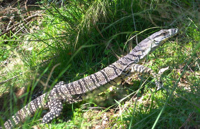 Little House in the Nursery - Foto 23