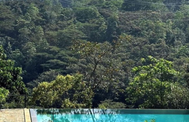 Aqua Dunhinda Villa & Nature Retreat - Foto 78