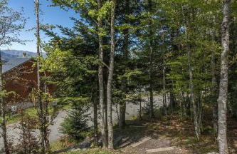 Le grand tetras - Foto 8