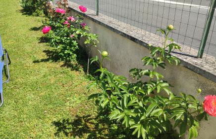 Maison plain pied, 2 chambres, longère typique , fraiche, dans bourg avec tous commerces - Foto 41
