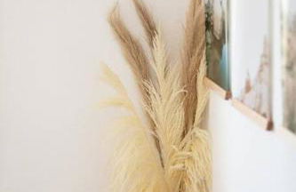 Sun Runner - Serene desert home w/pool & hot tub - Foto 45