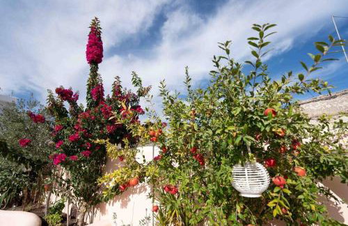 Bird Nest-Santorini Cave houses - Foto 26