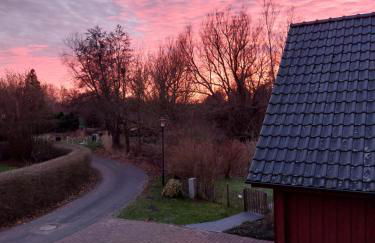 Tor zum Darss - Foto 23