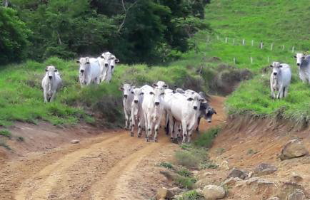 Toca - Bairro Serrano - Foto 63