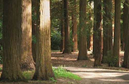 The Potting Shed - Foto 14