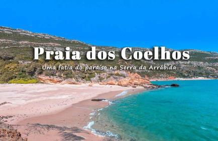 Poolemonhouse - Foto 63