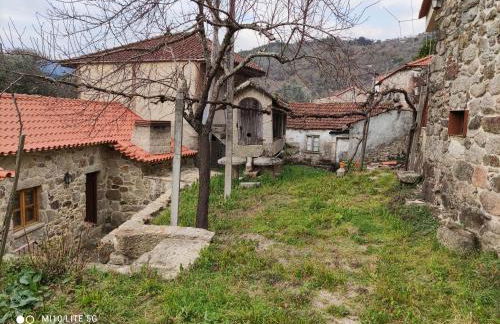 Oliveiras Misarela House - Photo 3