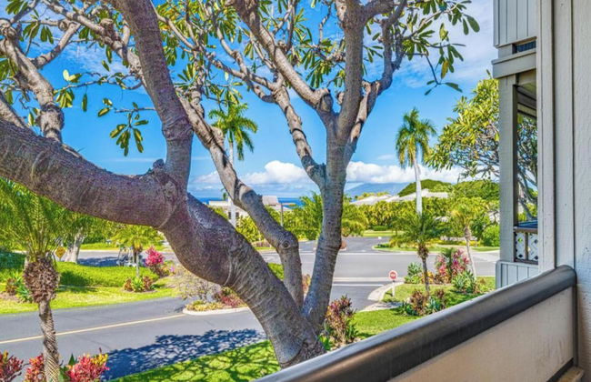 Wailea Ekolu - CoralTree Residence Collection - Photo 69