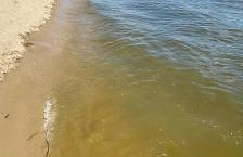 Hampton Zalew Zegrzyński - Foto 57