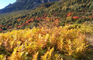 La Borda de Garbi - Photo 23