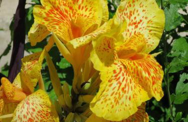 Prime and Exclusive Seafront Location Apartment Sunset - Foto 32