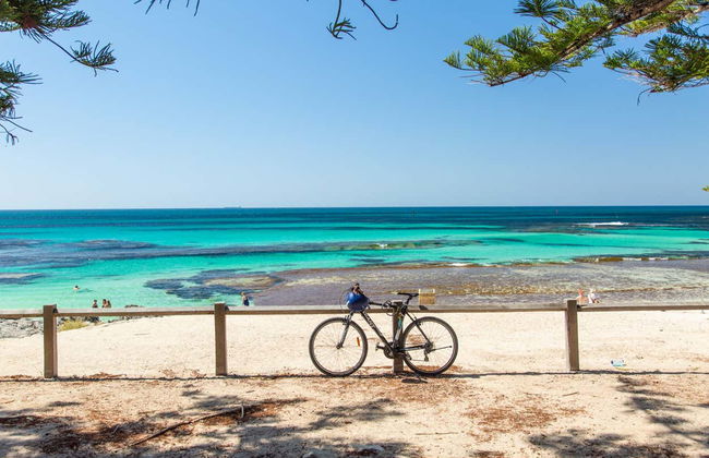 Perth and Fremantle Tour + Boat to Rottnest Island - Photo 8