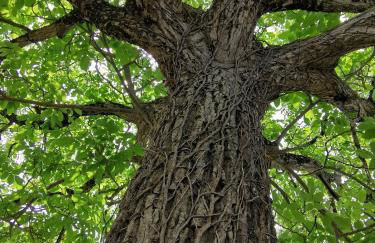 L'Ancienne Distillerie - Foto 62