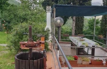 Ca' Olivella - Foto 24