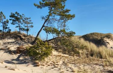 DOMKI RUCHOME PIASKI - Foto 33