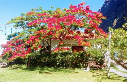 Fajã dos Padres - Foto 25