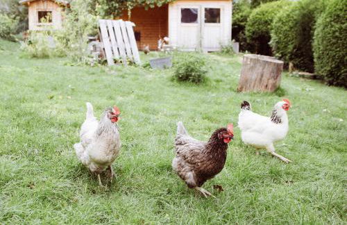 Bei den Hartmanns - Foto 26