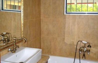 Ανεμώνη - Anemoni - Foto 3