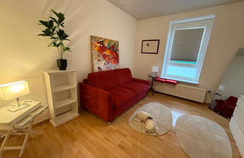 1 Zi Whg an der Universität zu Kiel-Alsenstrasse 17, perfekt als Schadenwohnung, eigener Parkplatz, große Wohnküche, Wlan, gemütlich möbliert, je 3 Min zur Universitätsklinik, Ostsee, Seebäder, City, Luxusfähren - Foto 3