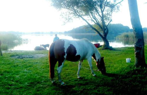 Holiday apartment in Parlow with parking - Foto 11