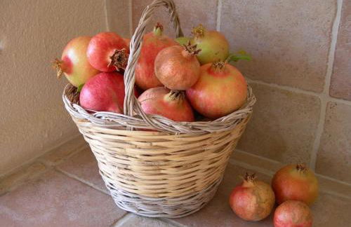 La Molina Del Olivar - Peaceful Location - Foto 36