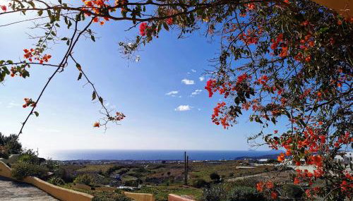 Vineyards Hill Villa - Foto 4