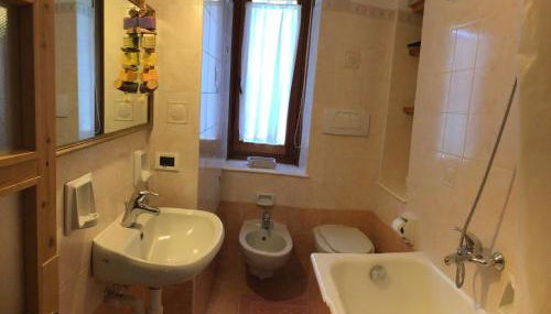 Anemone rosso - Foto 2