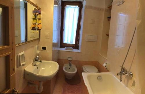 Anemone rosso - Foto 2