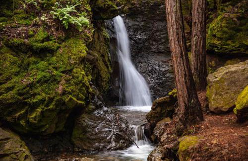 Enchanted Waterfall Sanctuary - Foto 25