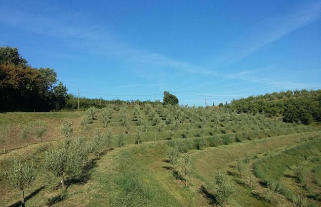 Luxury Villa Eva Pool Whirlpool & Sauna - Foto 33