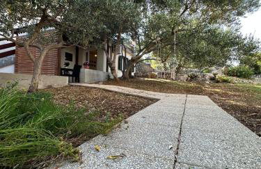 Apartmani Sladić - Photo 22