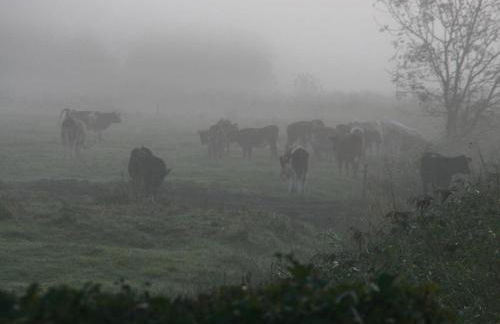 Reetdachhaus-Poppenbüll - Foto 12