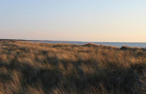 -"Strandhaus Friedrich"- - Foto 20