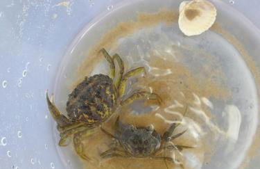 The Warren Chalet - Foto 22