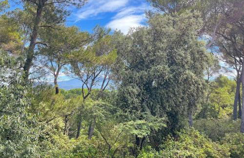 Maison en Provence - Les Bastidons du Ventoux - Photo 44