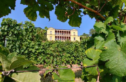 Ferienhaus Rauwolf mit 2 Ferienwohnungen - Photo 20