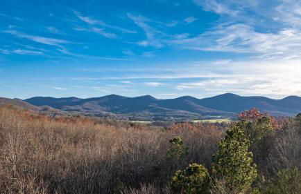 Tranquil Stays - Foto 58