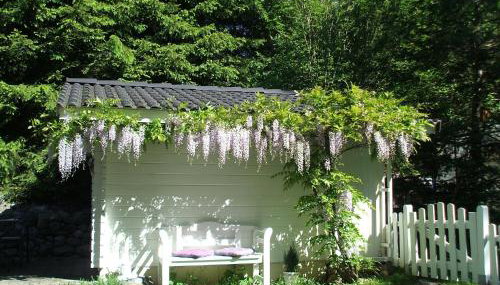 Allgäuvilla - Foto 5, Garden