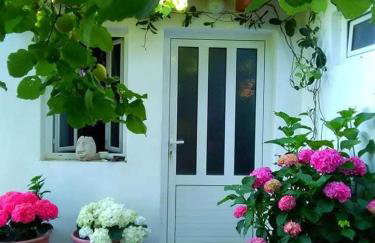 Paradisos House - Foto 21