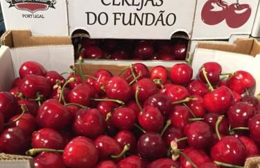 Quinta da Porta - Solar de Vale de Prazeres - Foto 47