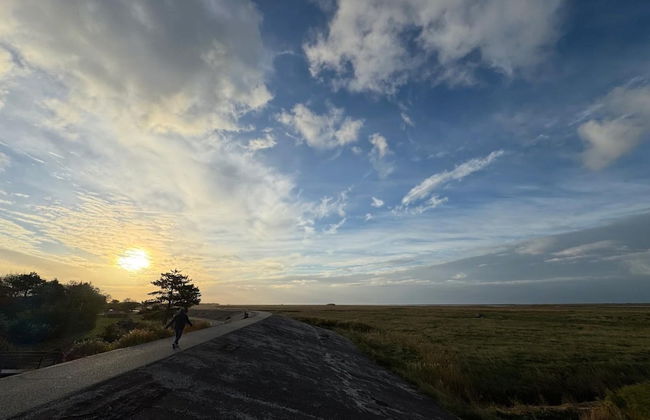 Aalernhus Residenzen in St.peter-ording - Photo 24