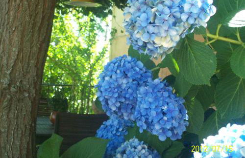 Casa Rural El Fortin - Foto 8